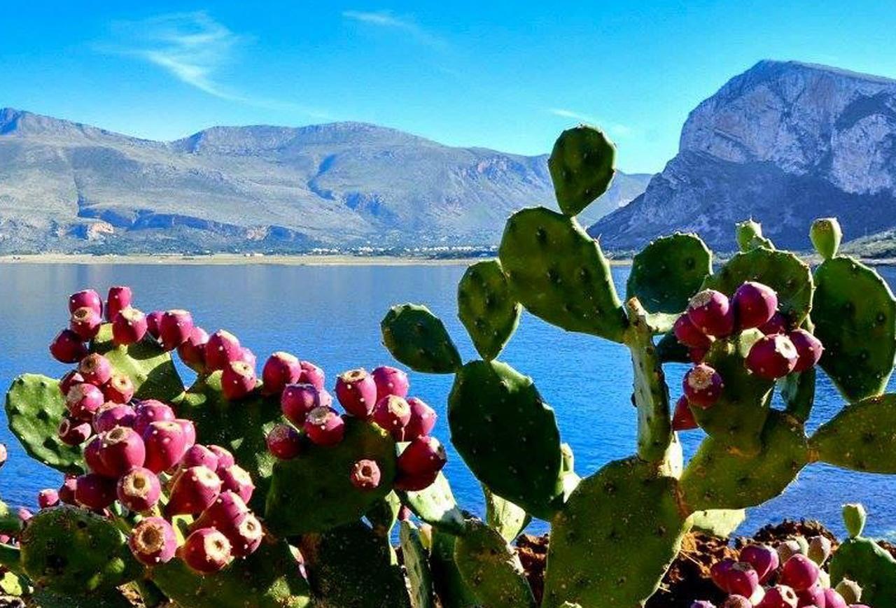 Bed And Breakfast Sapore Di Sale Trapani Buitenkant foto